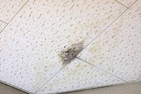 知らないと損するかも？雨漏りの兆候と対処法　　栃木市｜佐野市｜小山市｜板倉町｜野木町｜足利市｜館林市｜古河市　創業1973年の屋根外壁リフォーム専門店　キレイ家(キレイヤ)