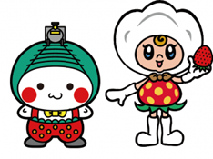 小山市での屋根外壁リフォームの補助金・助成金は出るのか？　栃木市｜佐野市｜小山市｜板倉町｜野木町｜足利市｜館林市｜桐生市　創業1973年の屋根外壁リフォーム専門店　キレイ家