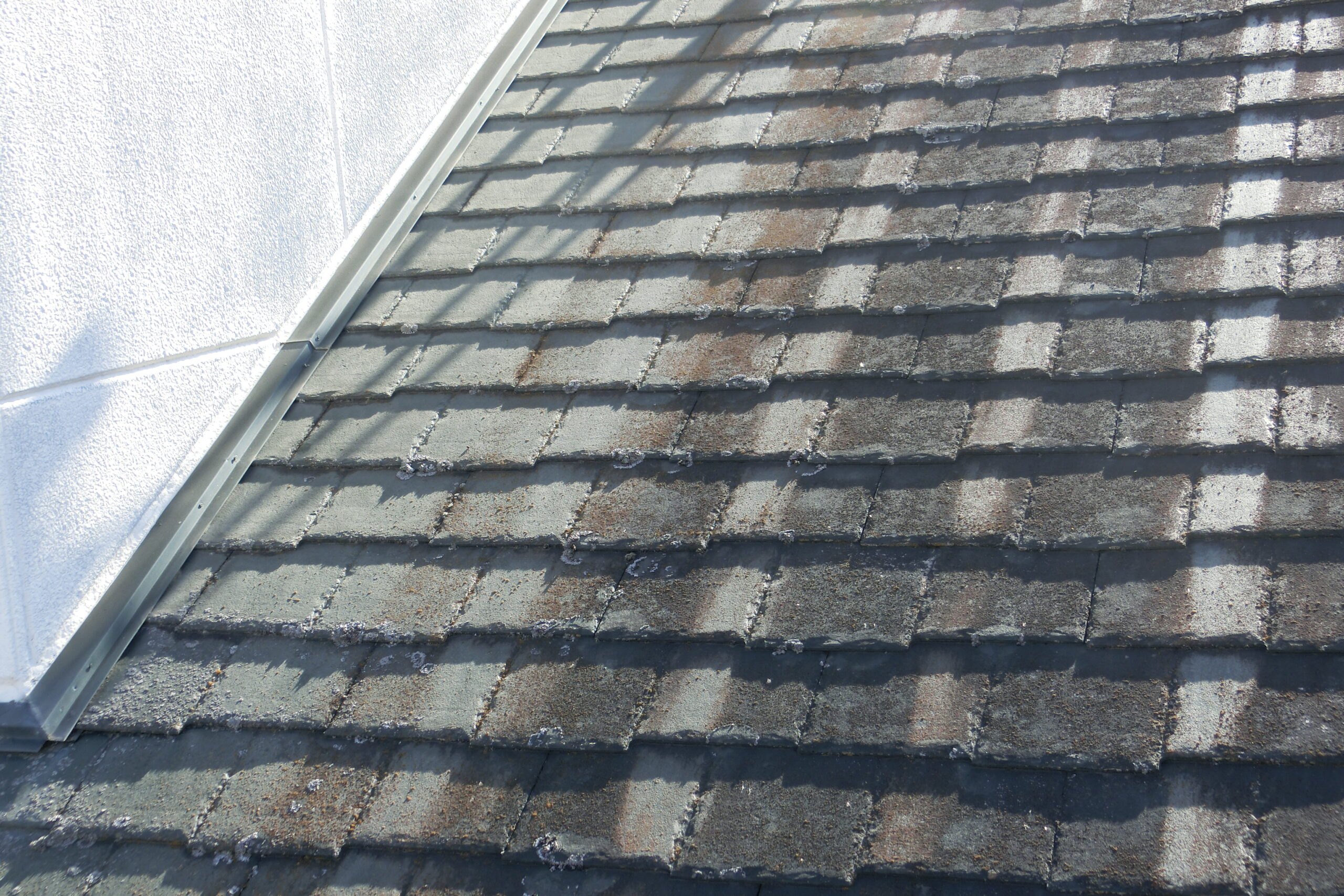 外壁に発生する藻・苔の原因とは？放置すると危険な理由と正しい対策を徹底解説　佐野市｜栃木市｜小山市｜板倉町｜野木町｜足利市｜館林市｜桐生市　創業1973年の屋根外壁リフォーム専門店　キレイ家