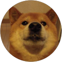 松原初子 profile picture